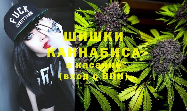 гашик Арсеньев