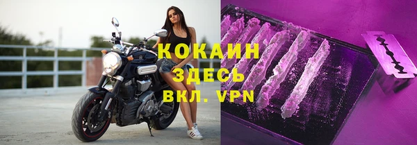 гашик Арсеньев