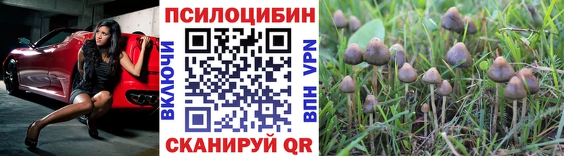 mega рабочий сайт  купить наркотик  Спас-Деменск  Псилоцибиновые грибы прущие грибы 
